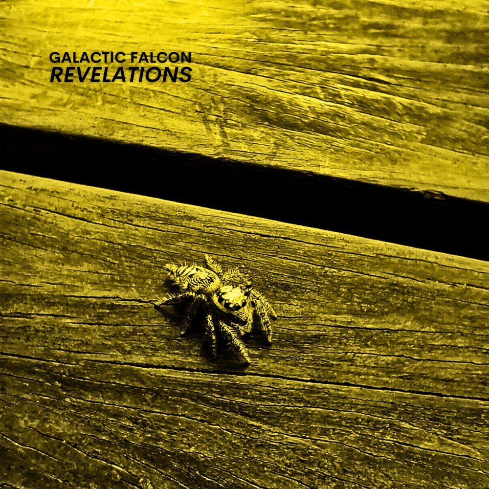 Cover art for Revelations by Galactic Falcon